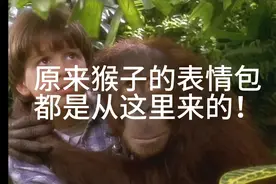 笑死我了....原来猴子的表情包都是从这里来的！视频封面