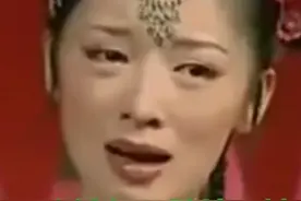 二人转包公陪情，著名演员董明珠演唱视频封面