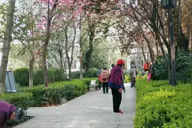 昭通清官亭，风景优美，鸟语花香，是一个养老的好地方视频封面