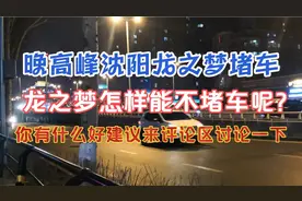 沈阳晚高峰北海街严重堵车，从龙之梦到联合路，桥上桥下全都堵！视频封面