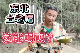 两个东北土老帽在海南捡椰子，捡完砍开就喝，捡大便宜了？