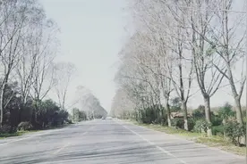 从西安回宝鸡，不走高速也不错，两边秋色美的很！视频封面