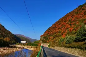 自驾穿越秦岭，212国道风景大好，这就是秦岭秋天的样子