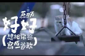 两个女孩与一只猫的故事，超感人MV！#热门音乐