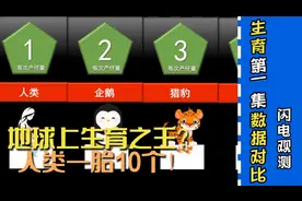 地球上的生育之王？人类一胎最多能生10个视频封面