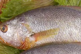 黄鱼不要只会清蒸了，川菜师傅教你特色做法，鱼肉鲜嫩下饭好菜视频封面