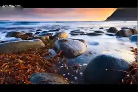 亲爱的《什么是我们分开的借口》