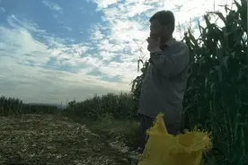 今年买台玉米收割机需要多少钱，几年能回本，听收割机老板怎么说视频封面