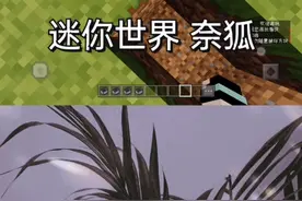 吐槽mn大学生