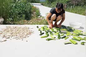 自家种的黄瓜太多吃吃不完？老妈做成黄瓜干，简单方便明天就能吃
