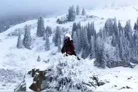 咏美人骑马视频封面