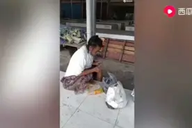 流浪的智障女长期睡在菜市场的摊位上面，她吃的东西都是捡来的。视频封面