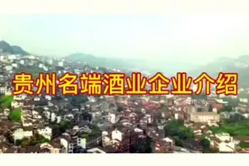 贵州名端酒业有限公司视频封面