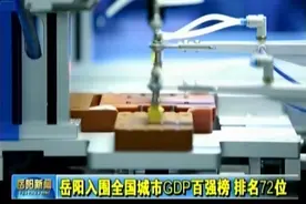 岳阳入围全国城市GDP百强榜 排名72位视频封面