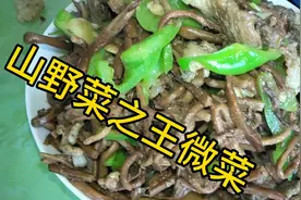 林区野菜之王微菜要这样做才能炒出大森林的味道。吃一口清新气爽
