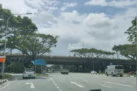 成都打工妹去新加坡旅游，第一次见绿化这么好的路，像穿梭森林里视频封面