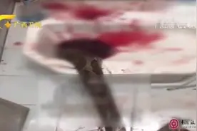 3.5米蟒蛇卡进蹲便器，男子上厕所时被蟒蛇一把咬住