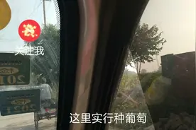 今天去保定市清苑县王盘大集赶集，这里盛产西瓜和葡萄视频封面