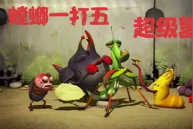 爆笑虫子：螳螂来了一打五，虫子们俯首称臣。视频封面
