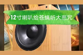 用大悲咒净化苍蝇