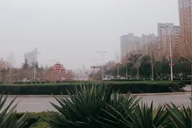 一个转盘面积2.5平方公里，堪称“亚洲第一大转盘”，你认为呢视频封面