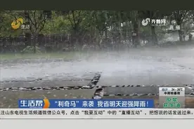 划重点！9号台风“利奇马”来袭，山东省10号夜间将迎来强降雨