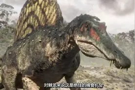 恐龙星球，陆地上最大的食肉恐龙棘背龙，竟是一个捕鱼高手！