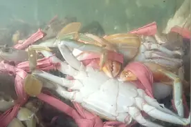 中山南朗崖口海鲜街