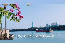 中山小榄和东凤镇相邻一河之隔，这里的风光美丽动人，你来过吗？视频封面