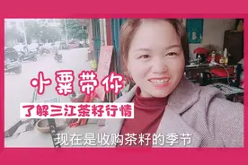 广西三江茶籽油特产，今年收购才6.8元一斤，市场一天一个价格。视频封面