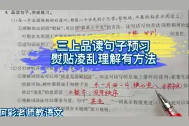 三上预习品读句子，熨贴凌乱你理解吗？理解词语有方法哦