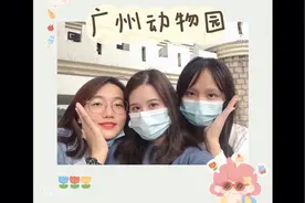 周末跟同学一起去了趟动物园，居然忘记带学生证，最后这样解决视频封面