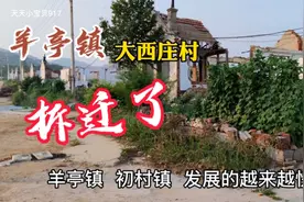 山东 威海  环翠  羊亭镇  大西庄村  拆迁了 最后看看这个村吧！视频封面