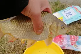 钓行程并不是让你抛满竿，你要做的应该是注意这三点！