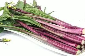 红菜心好多人炒不好，原来是没处理好，这样做鲜嫩脆爽不发苦