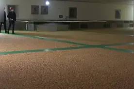 中国的大粮仓储存粮食10万吨可保证100万人吃半年以上