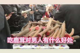 新鲜鹿茸怎么吃最有营养？煲汤  炖鸡还是泡酒？视频封面