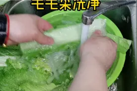 毛毛菜腌菜