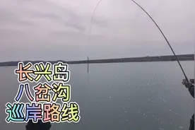 日常巡岸，长兴岛八岔沟钓鱼路线图。视频封面