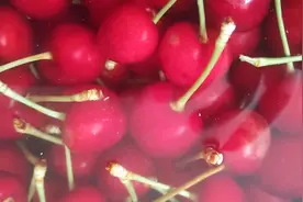 樱桃用盐水一泡，有白色东西，是虫子吗？求懂行的解释，大吓人了视频封面