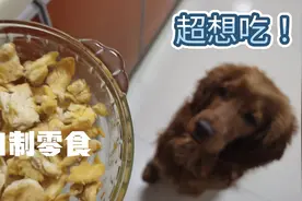 自制美味狗零食，鸡脯肉嘎嘣脆，狗子：想吃！视频封面