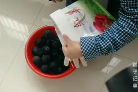 文玩核桃摘晚了有点发黑，你看看会影响最后的成品吗？视频封面