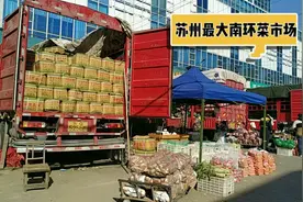 南环批发市场，苏州大小菜场大部分都是山东人，你还别不信视频封面