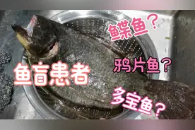 鲽鱼 鸦片鱼 多宝鱼傻傻分不清 差点以为被骗了 现在终于分清了视频封面