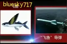 法国人真是聪明,研发出“飞鱼导弹”,李莉讲述其厉害之处！