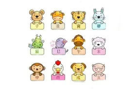 5分钟揭秘：“12生肖”隐藏密码“运算公式”简单易懂不含糊视频封面