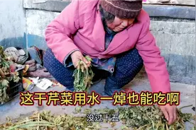 农村金山：老李家还有干芹菜呢！宝子妈说用水一焯可好吃啦视频封面