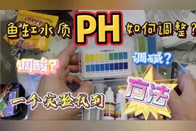 鱼缸水质PH如何调整？我通过一个实验找到了方法，一起来看看吧！视频封面