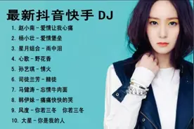 抖音快手最火的10首中文DJ歌曲