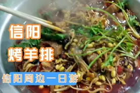 河南信阳周边一日游赏信阳毛尖茶园，吃一份地道的信阳烤羊排真香